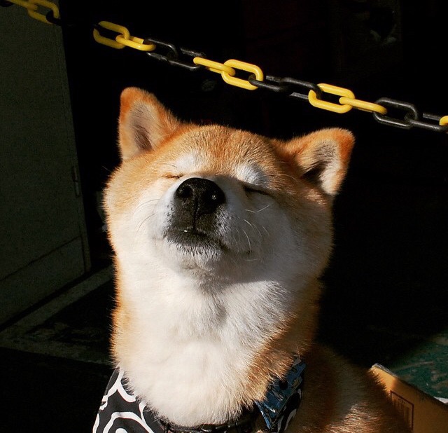 开云网站-NBA历史上“最疯狂”的投篮记录盘点，nba历史最强投手