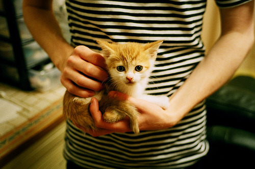 开云官网登录-_火箭队士气回升，战绩逐渐提升_，火箭队怎么样