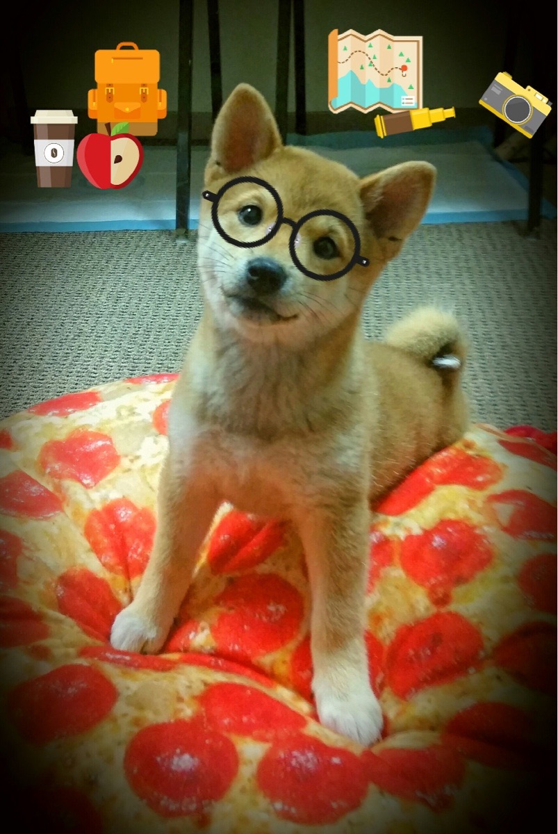 Kaiyun APP-_跑酷文化节：街头艺术的运动表达_，跑酷宣传