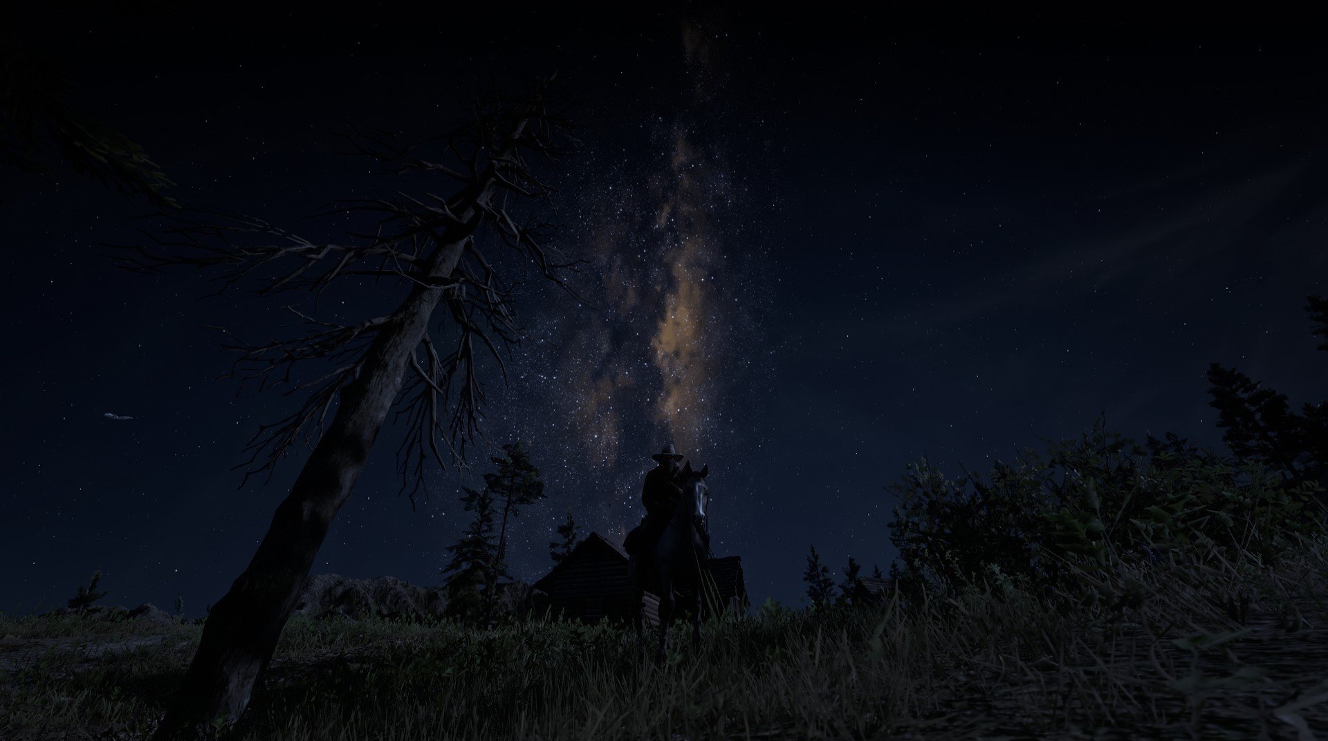 kaiyun-_鹈鹕实力提升，逐步逼近前列位置_，鹈鹕科普