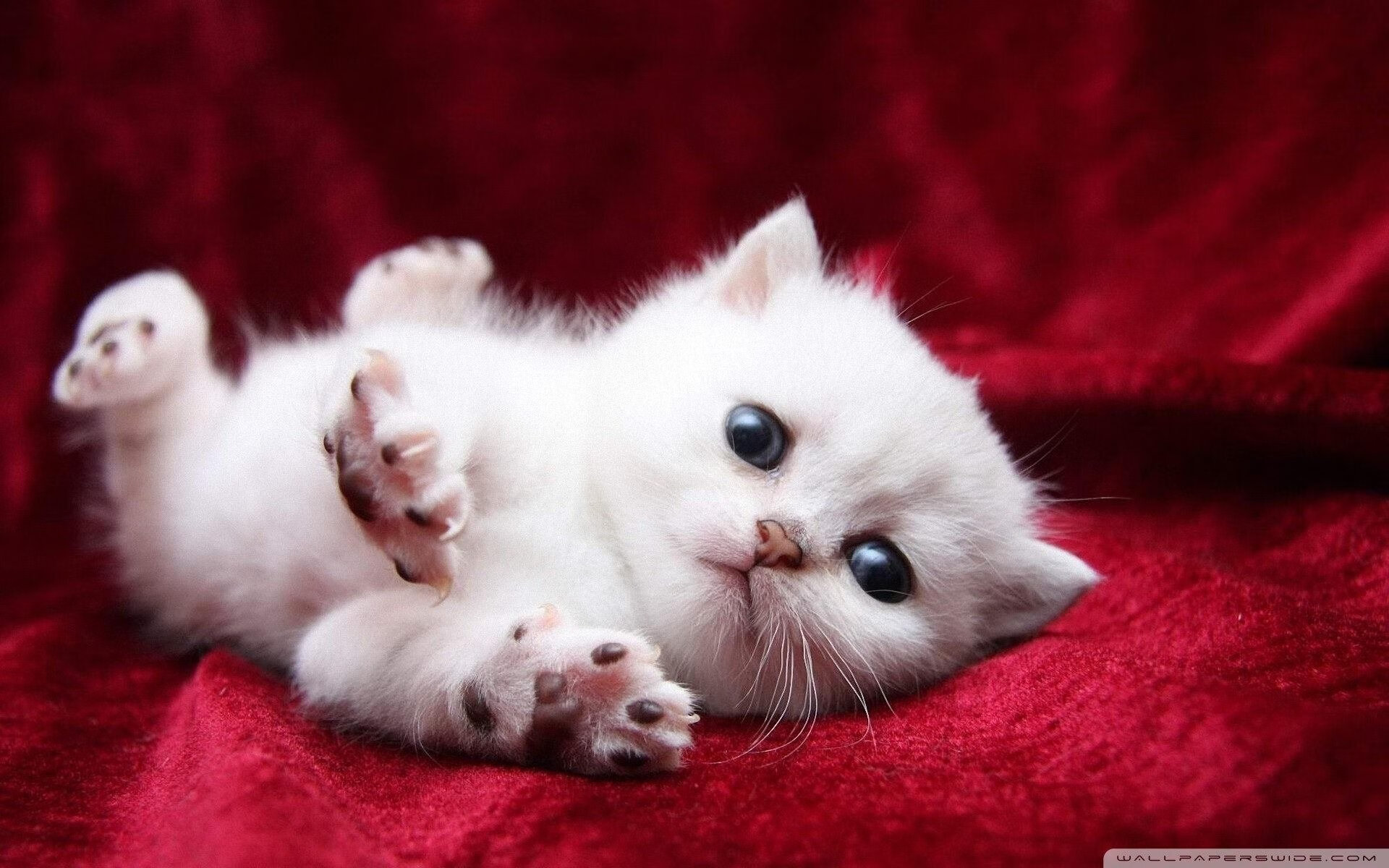 开云·体育官方网站入口-_青春风采：青少年组比赛燃爆青春热血_，青少年比赛视频