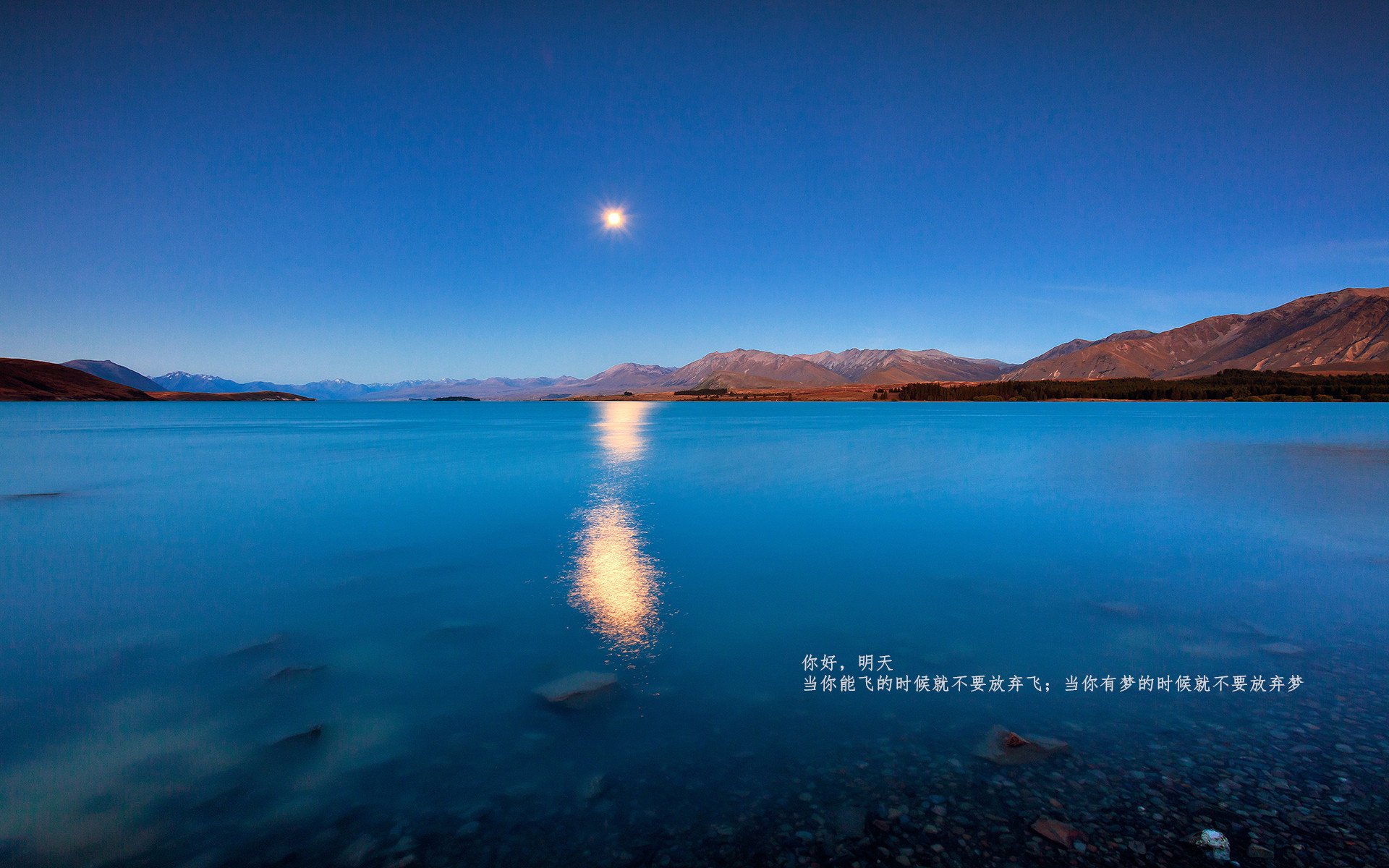 开云官网-“2000年总决赛经典瞬间，再次引爆回忆”，2000年总决赛数据