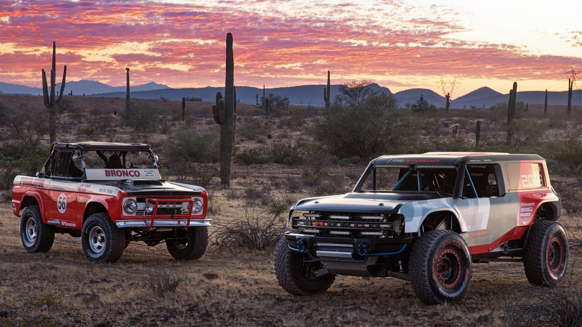 开云体育在线赛事直播-“未来领航”青少年篮球新星在长沙连续升空，见证青训行业新变革