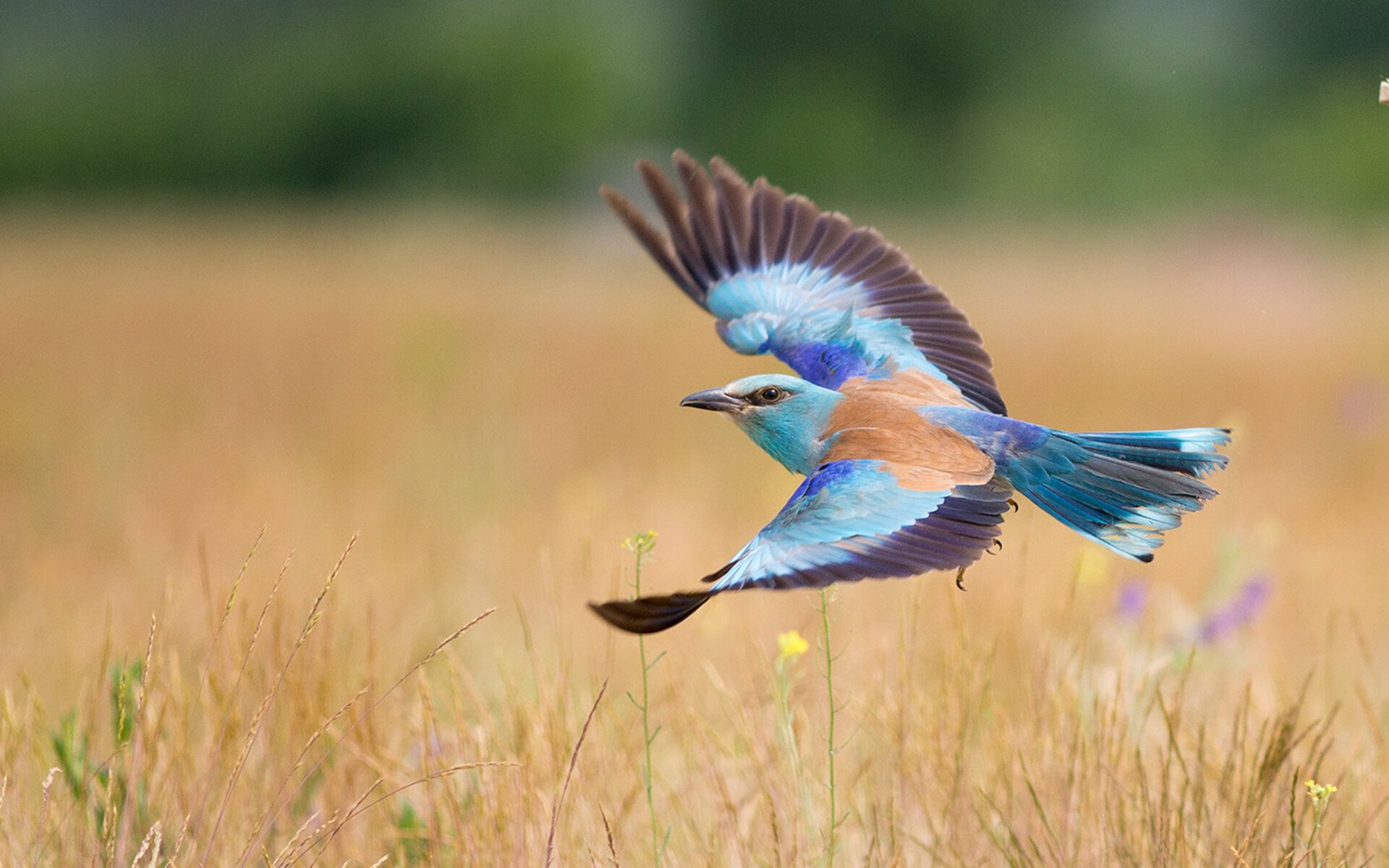 kaiyun中国官方网站-《王者荣耀年度总决赛，LPL战队全线强势夺冠》，王者荣耀总决赛2021队伍