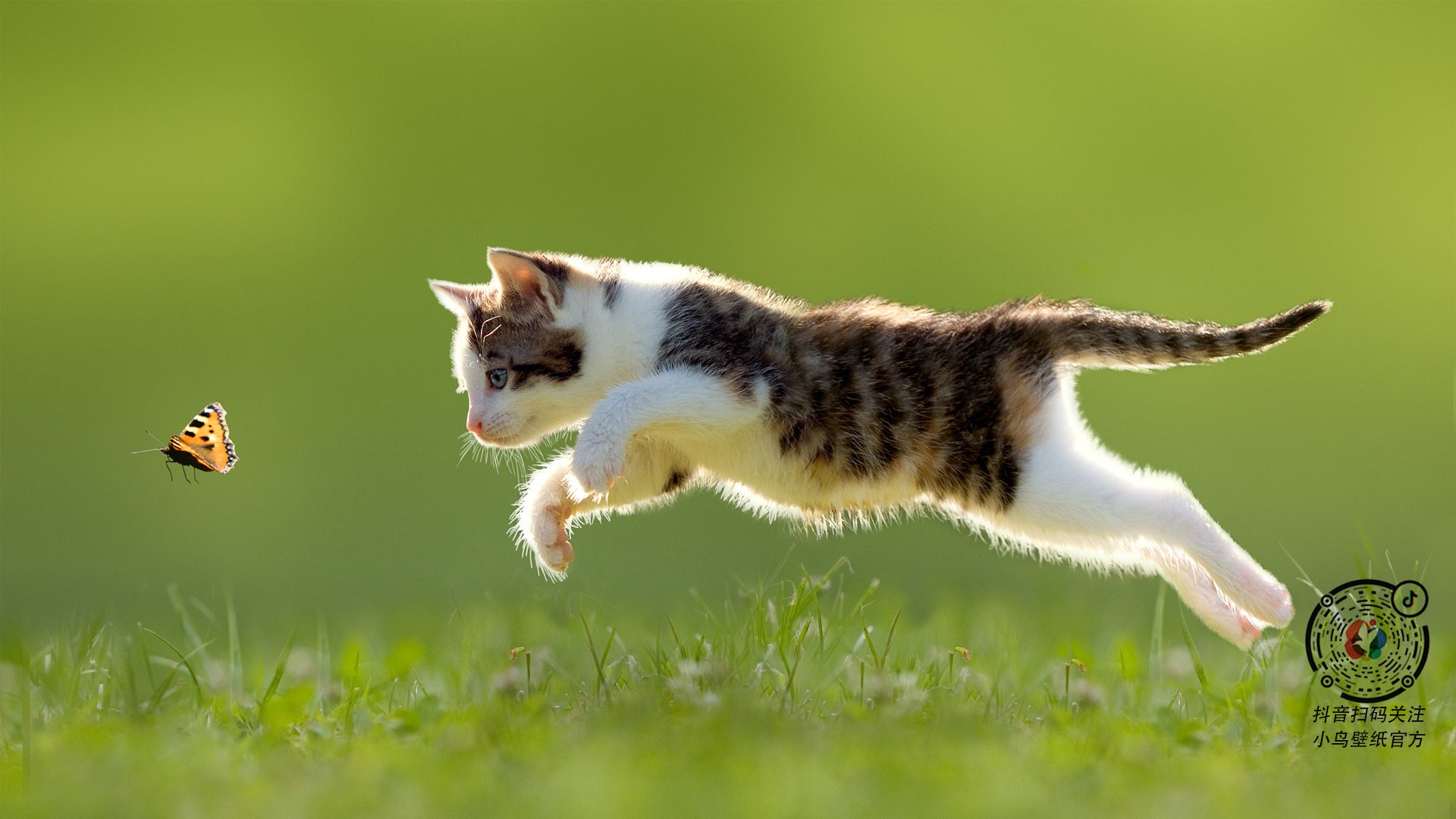 Kaiyun APP-《新版本上线：对战策略发生巨大变化》，新出的对战手游