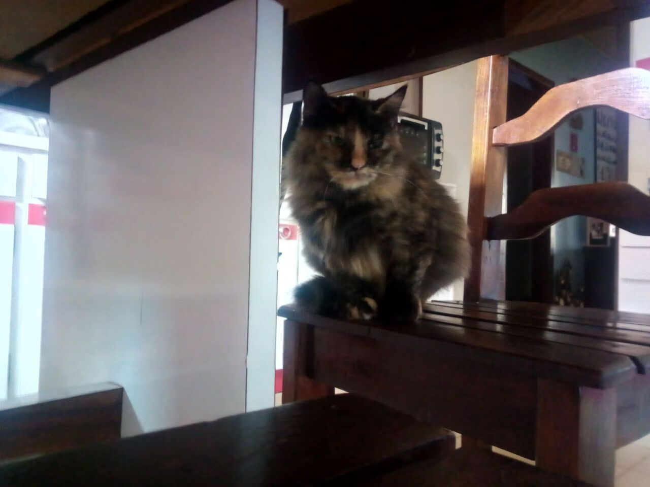 开云中国-《顶级直播平台策略：如何吸引更多粉丝？》，这样直播才吸引人