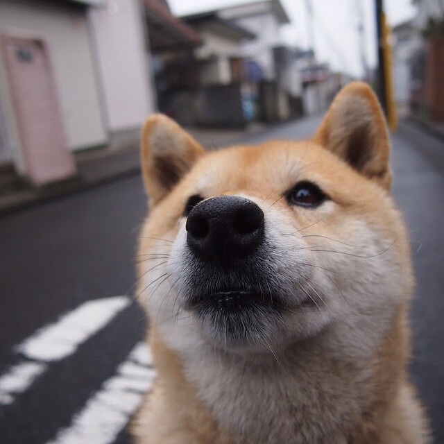 kaiyun开云·官方网站-【分析专家点评】季中转折点的战术变化趋势，季中发展