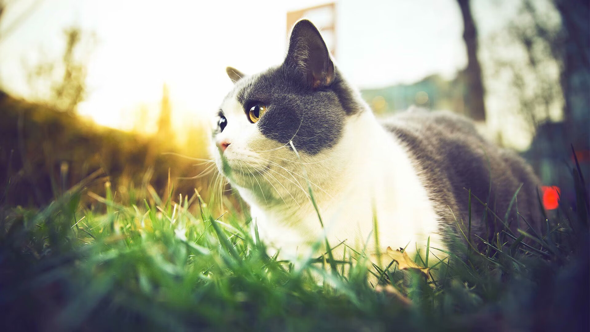 kaiyun.com-中国足球代表队海外拉练提升国际比赛经验，中国足协海外培养球员计划