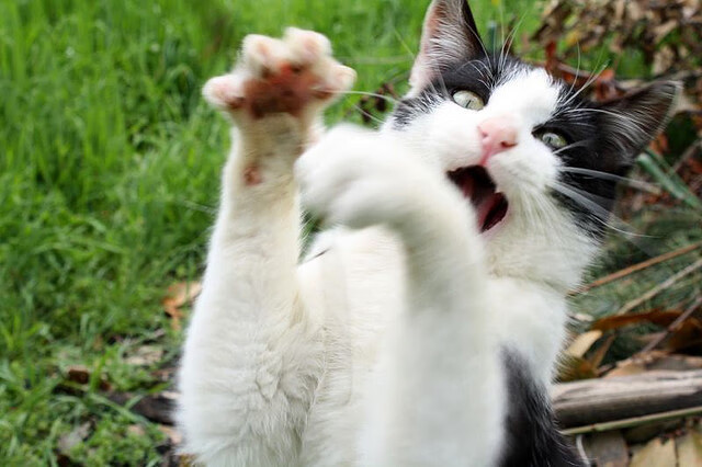 开云·体育官方网站入口-特色篮球社区街头赛火爆，推动全民街头体育发展，篮球街头文化