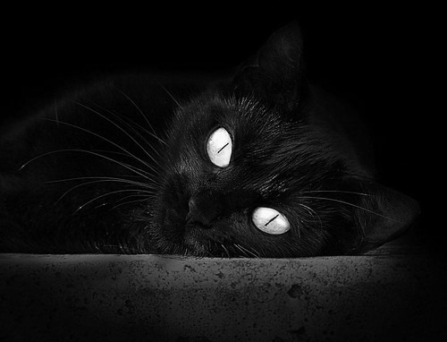 绿色“智慧场馆+低碳建筑”行业新标准在全国推广落地，行业绿色发展不断推进