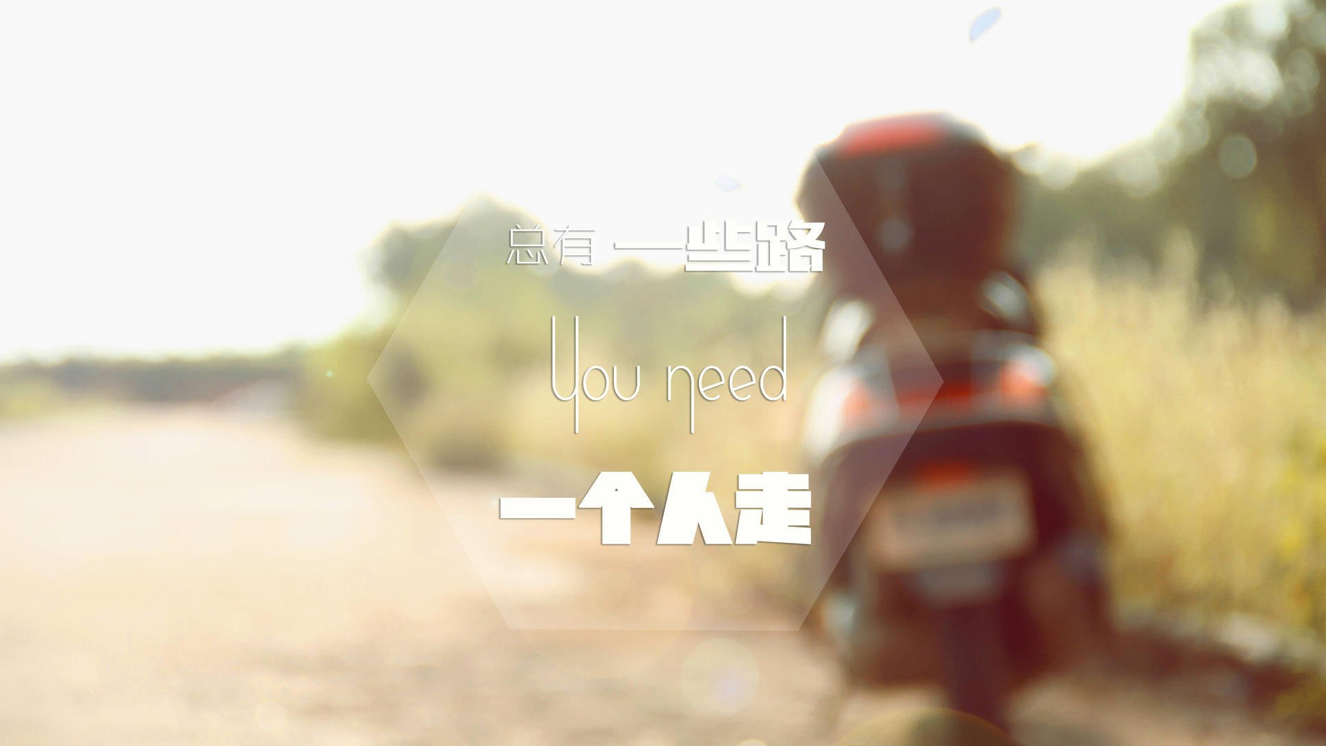 横滨水手新援加盟,横滨水手新援加盟费多少