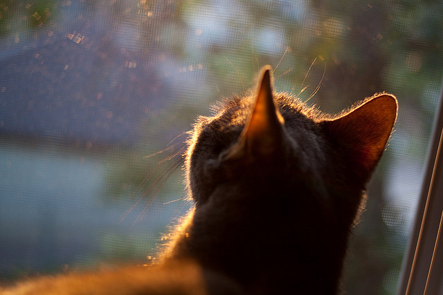 KAIYUN 中国大陆-毕尔巴鄂竞技客场1-1战平皇家社会，保住积分，毕尔巴鄂竞技b队