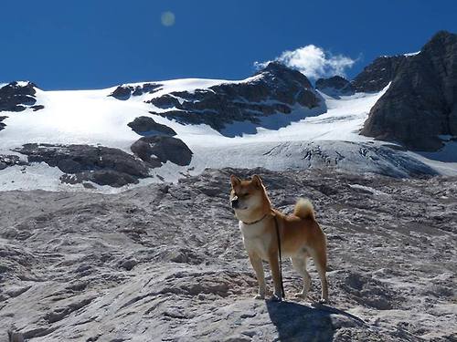 开云·Kaiyun网页版-球队备战最后一周，全力冲刺新赛季CBA，cba最新季后赛赛制