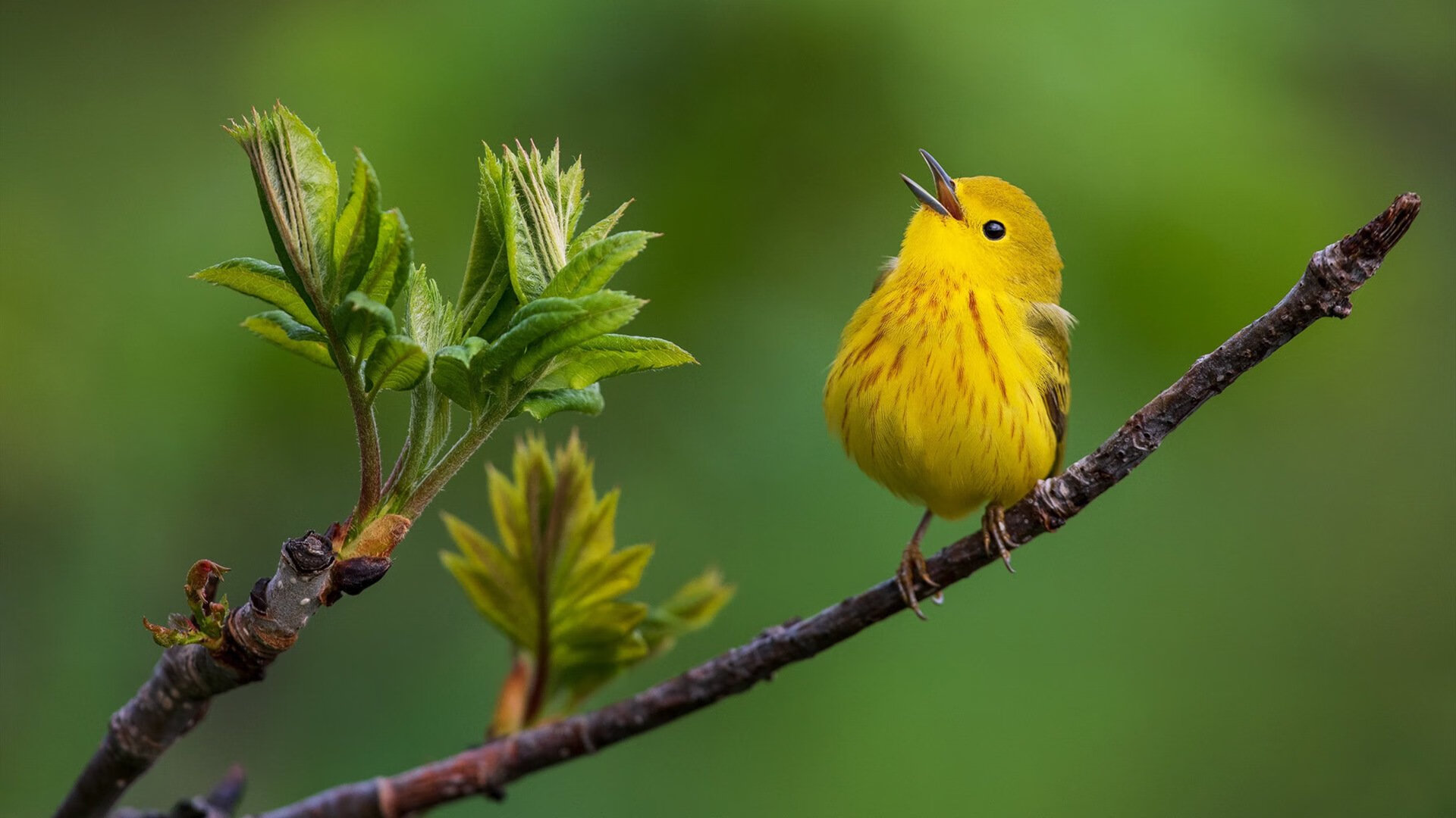 开云kaiyun-队员表现飘红，成为关键时刻救世主，队员的标准