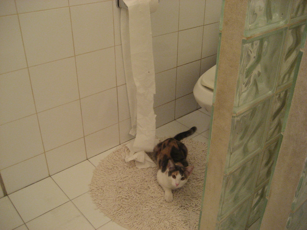 开云官方网页登录-黑马球队崭露头角，向强敌发起挑战！，黑马球队什么意思