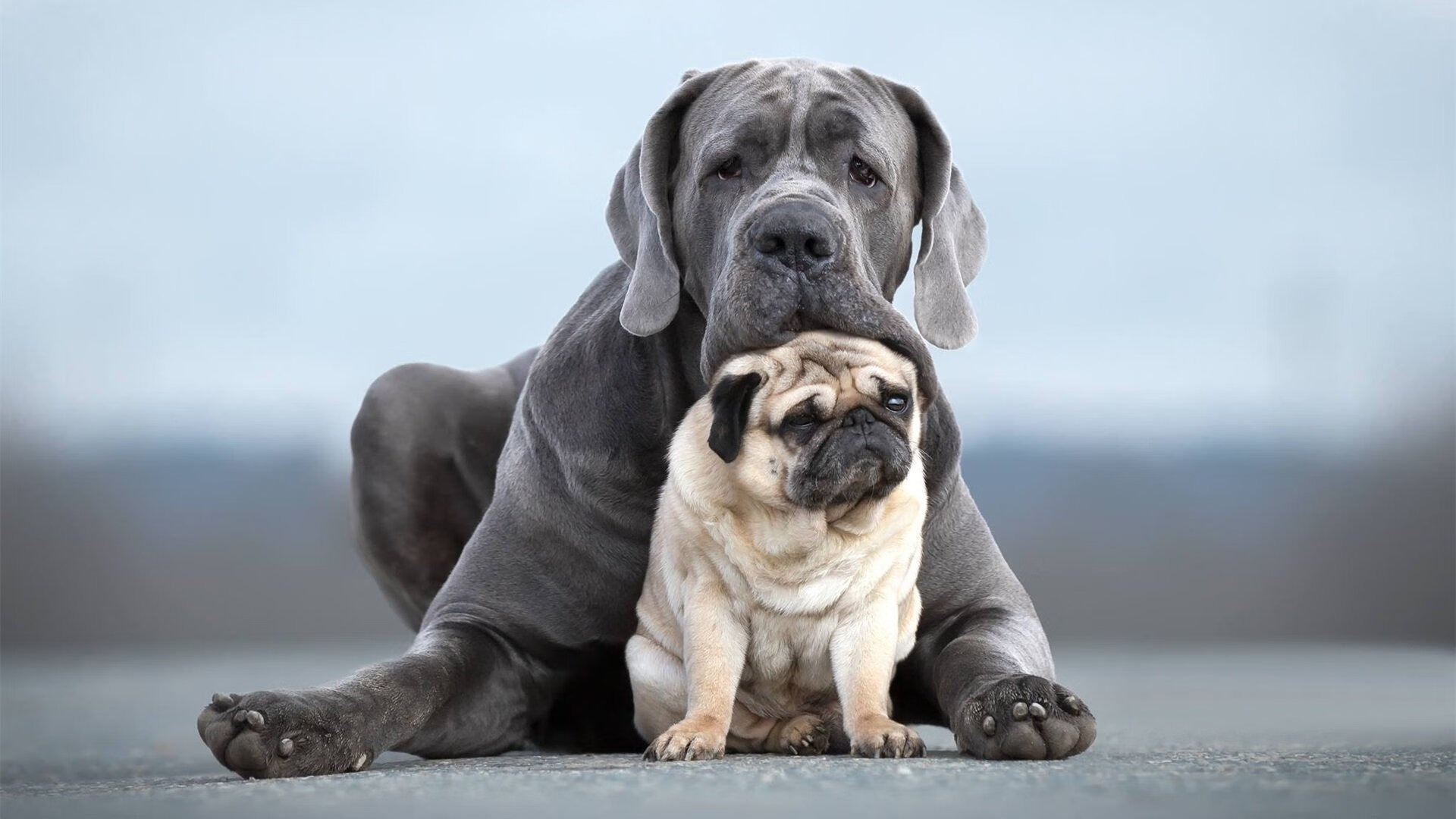 kaiyun 开云体育-中超各俱乐部场地适应性数据汇总，中超足球场地