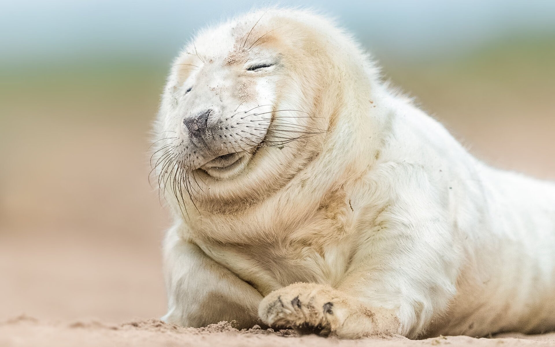 开云首页登录-英超球队基于AI模型优化快速反击效率研究，英超球队战术