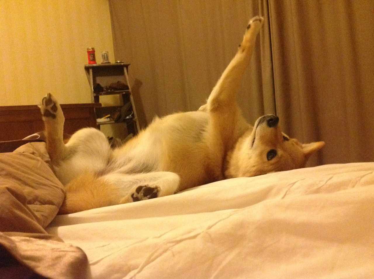 开云·体育官网APP下载-福特：随着表现不断提升，成全黑队未来的核心球员，福特黑色